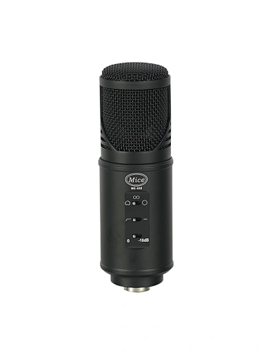 microphone condenser microphone