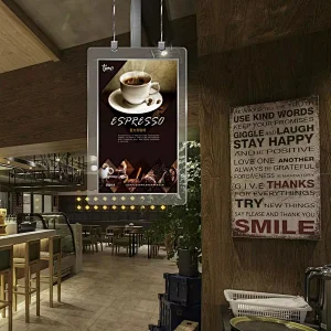 Ultra-thin ceiling double sides displays