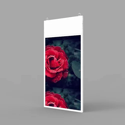 Ceiling Double Sides Displays 700nits+350nits