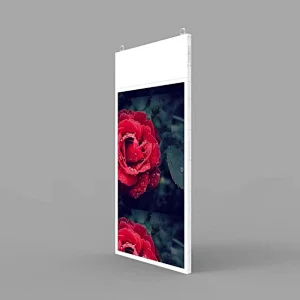 Ceiling Double Sides Displays 700nits+350nits
