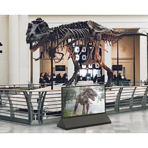 Transparent oled display with touch screen