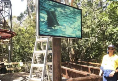 Outdoor Display for Australian Parks