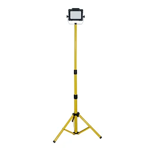 10W 20W 30W 50W 100W China tripod work light factory