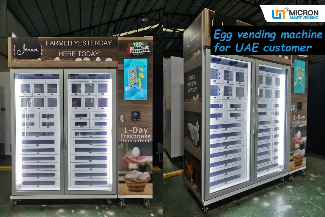 -18℃ Office Freezing Locker Vending Machine for selling Egg in UAE