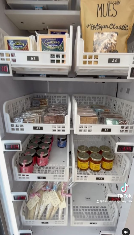 Micron ice cream cheese vending machine in UK jam vending machine