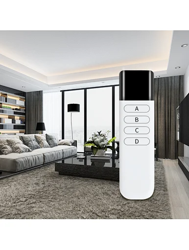 RF remote control
