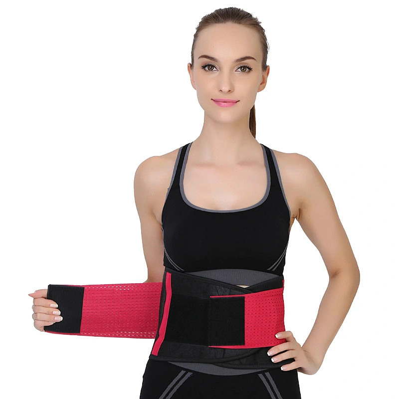 waist Support