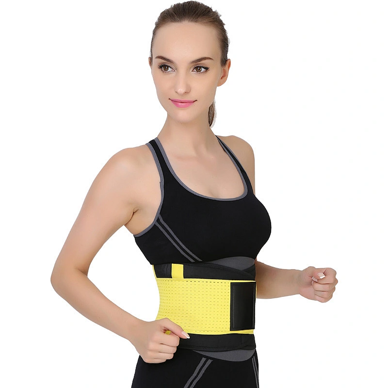 waist Support
