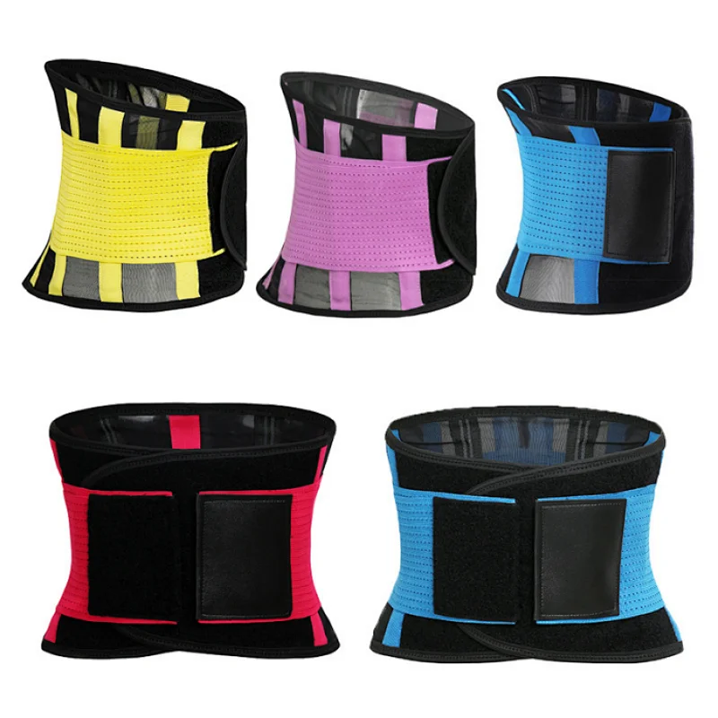 waist Support brace