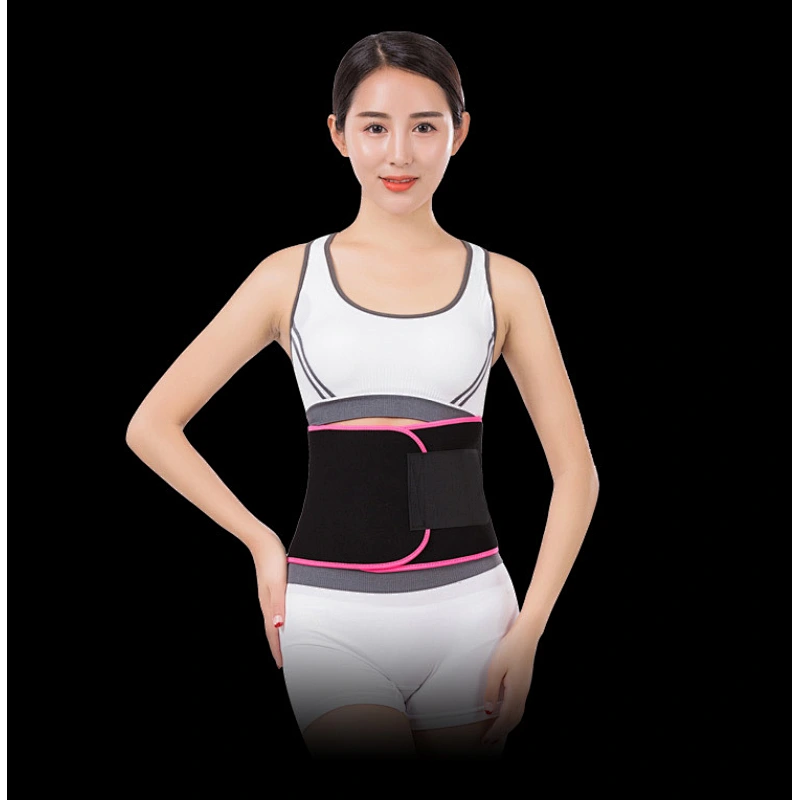 waist Support brace