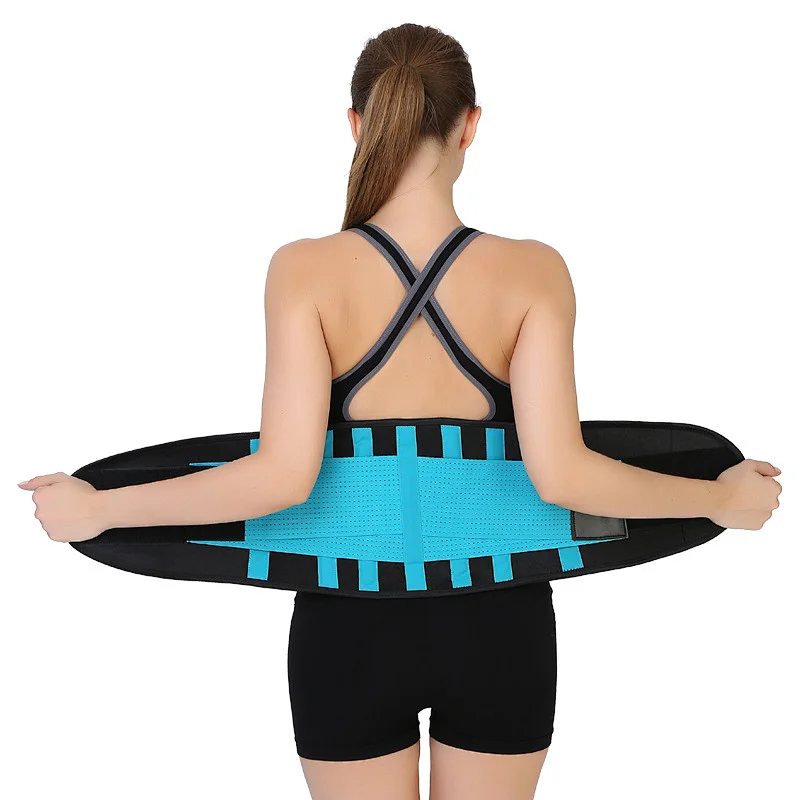 waist Support brace