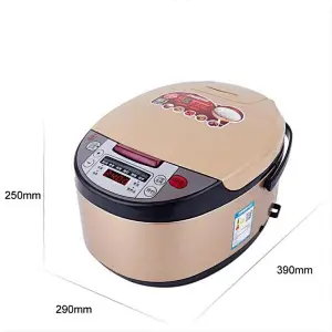 Mini Rice Cooker Maker