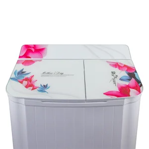 Twin Tub Washing Machine