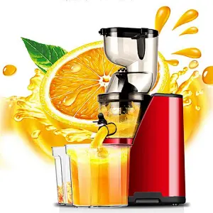best  juicer squeezer machine