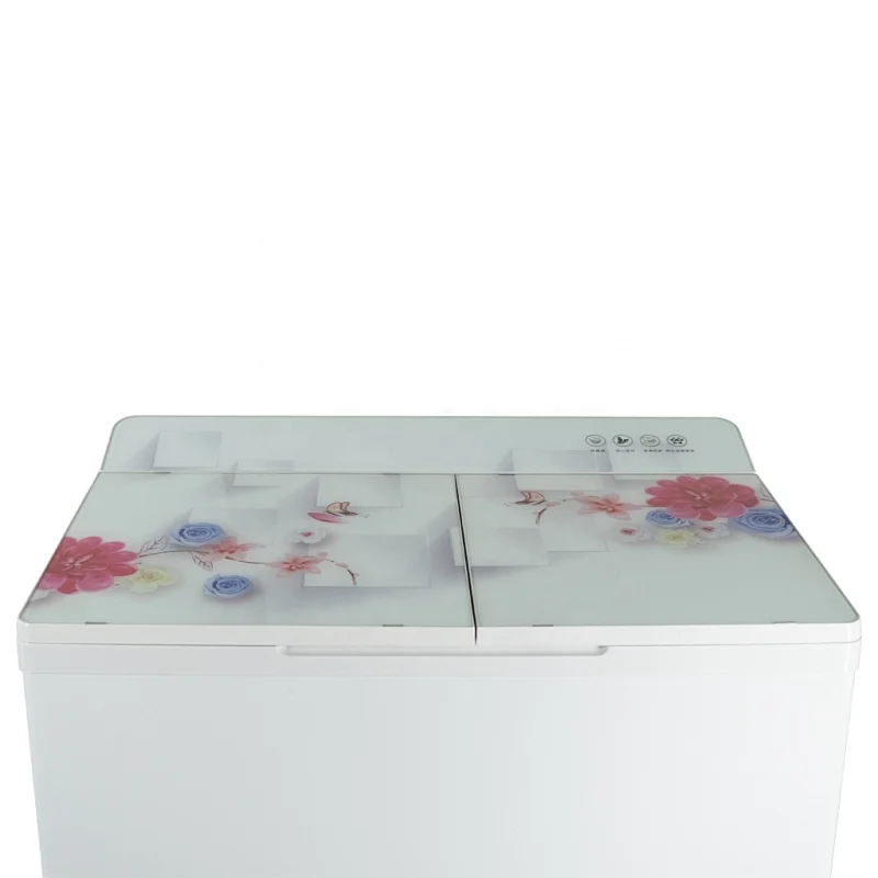 Twin Tub Washing Machine