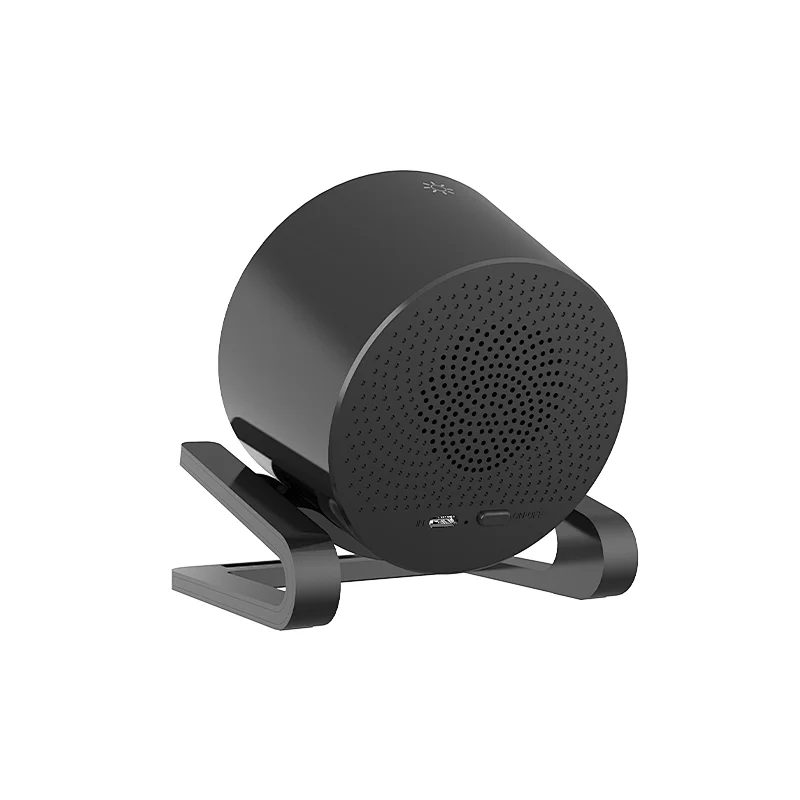 Multi functional BT speaker