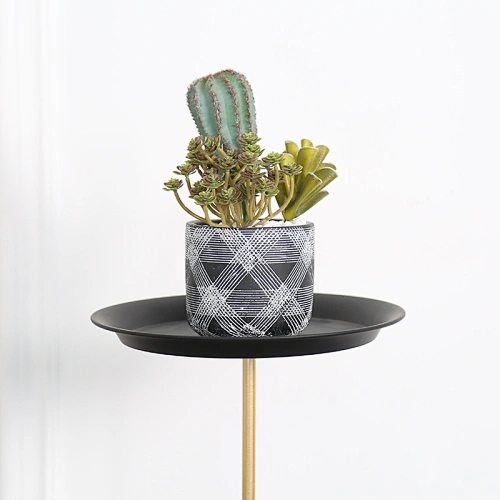 Potted Plant Holder