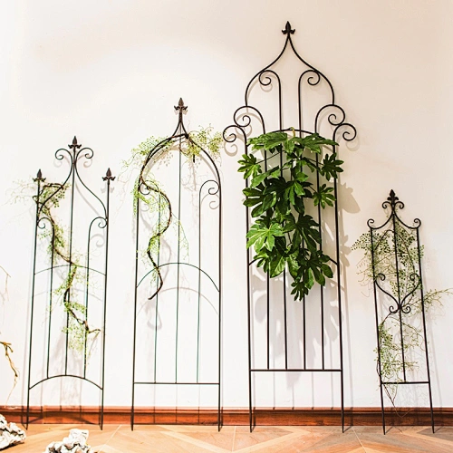 Garden Trellis
