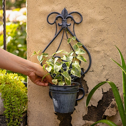 Hanging Planter