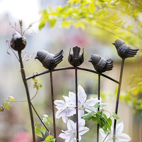 Garden Climbing Stand