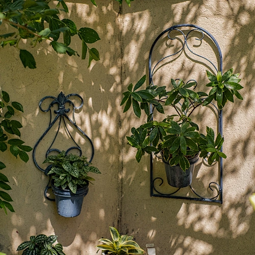 Hanging Planter