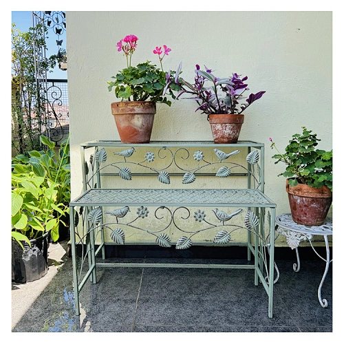 Garden Ladder Shelf