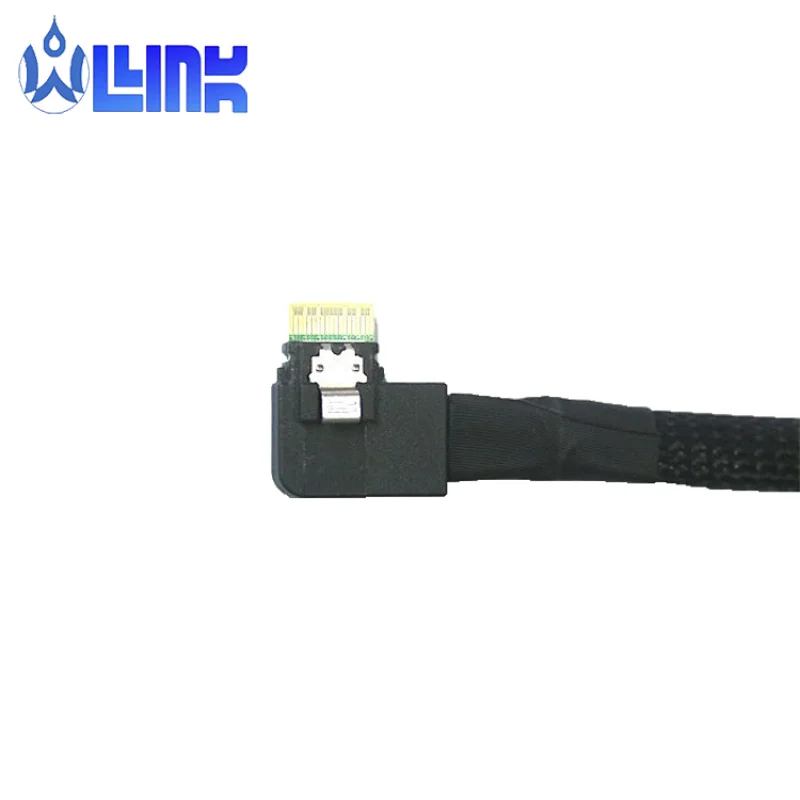 SFF-8087 to SFF-8087 Internal SAS