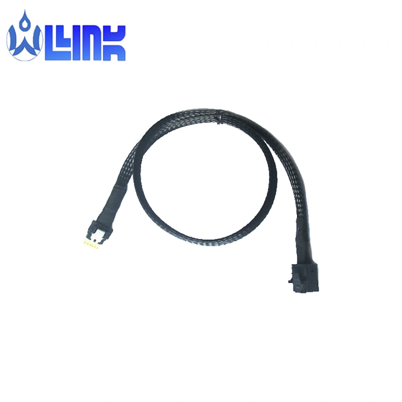 Slimline SAS SFF-8654 to SFF-8643 Mini SAS HD