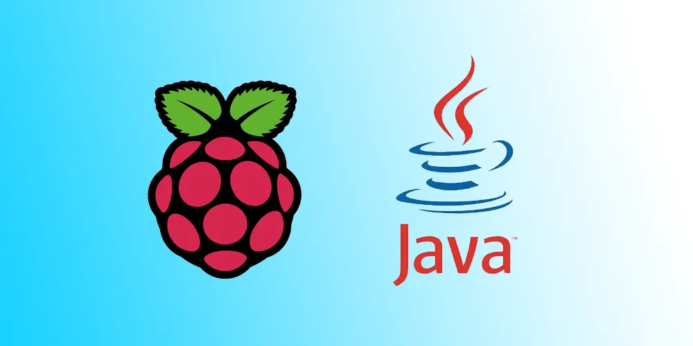 raspberry pi