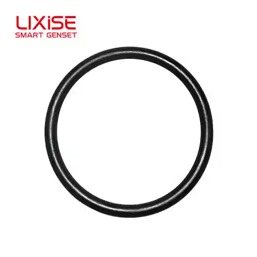 arrival sealing ring