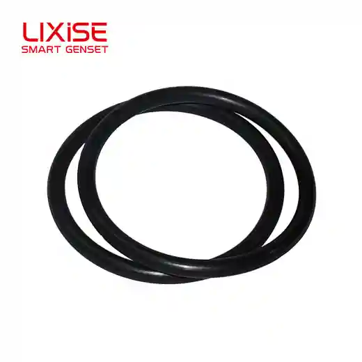 arrival sealing ring