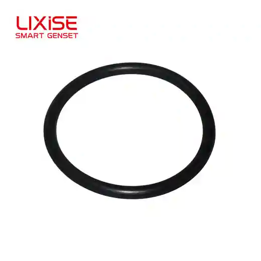 arrival sealing ring