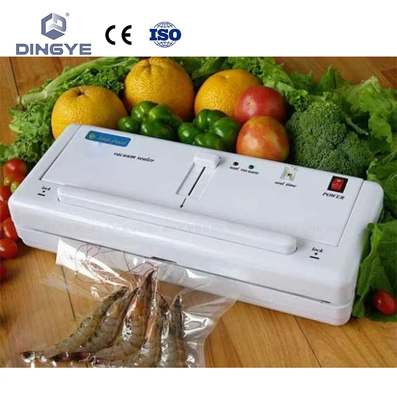 DZ300A household vacuum sealer