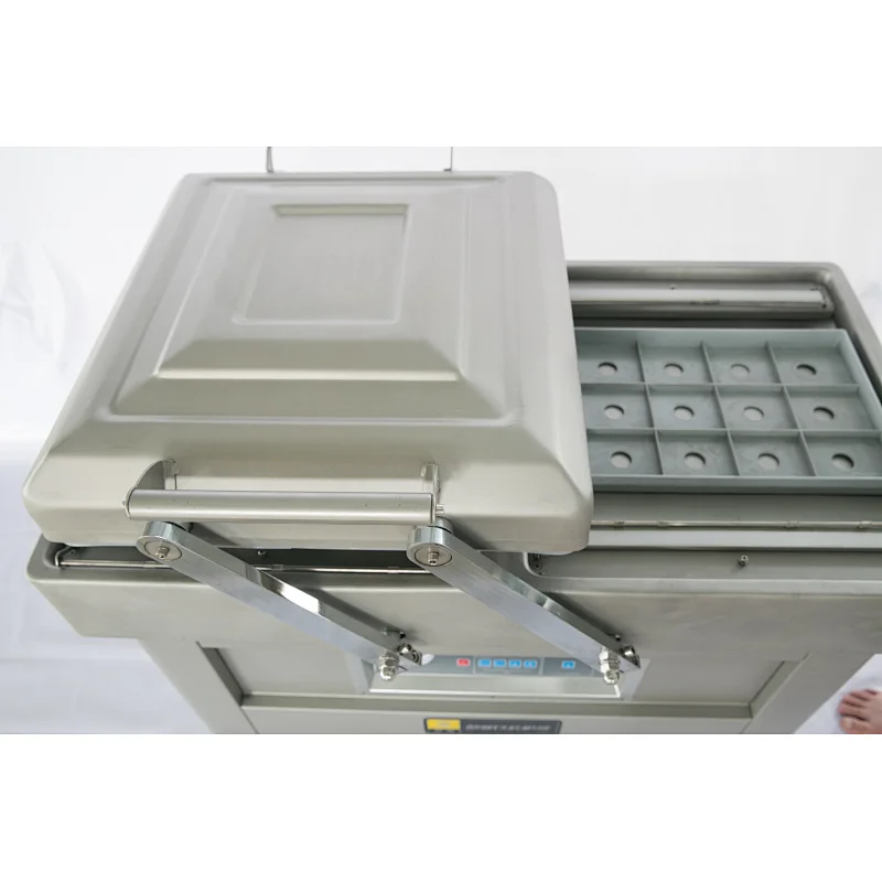 DZ400-2SB Double chamber vacuum packager (Option: with gas flushing)