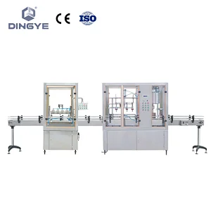 DW-5L & DFC-5L  5L Bottle Washing, Filling and Capping Line