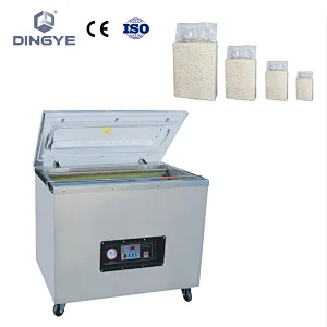 DZ645/2E Multi-function vacuum packaging machine