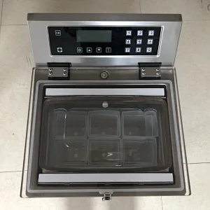 DDZ330-2D Multi-function vacuum packaging machine