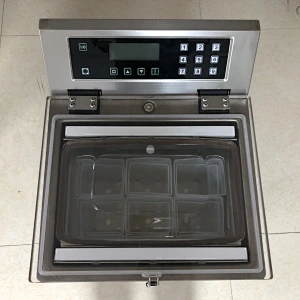 DDZ330-2D多功能真空包裝機
