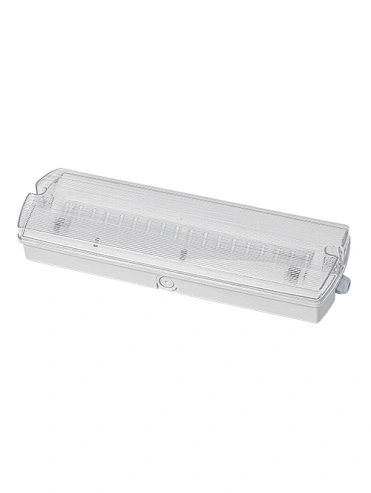 LED IP40 Emergency Bulkhead