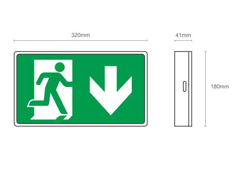 fire exit light box with wall mounted, flag mounted and ceiling mounted