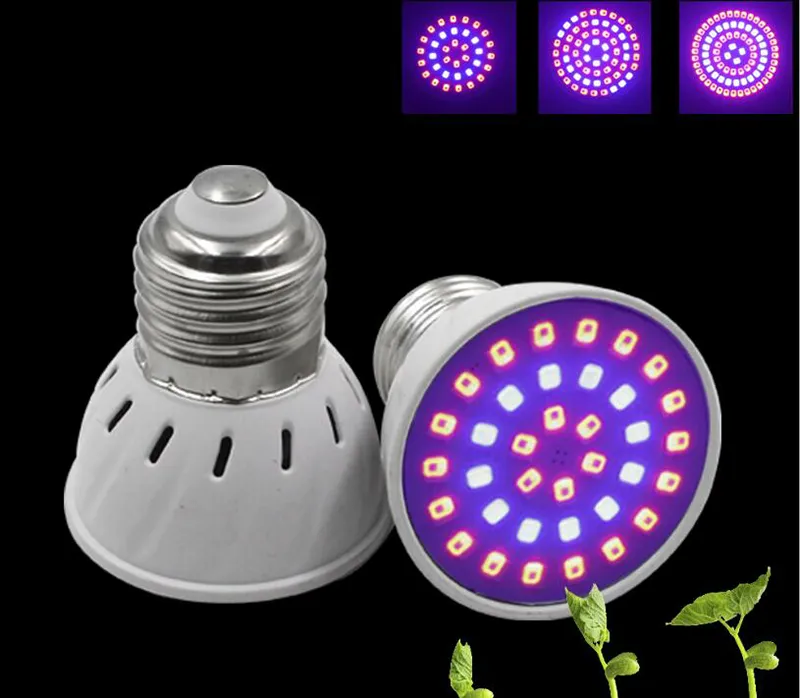 led grow light bulbs for indoor plants led grow light explained