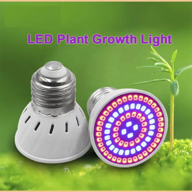 led grow light bulbs for indoor plants is led the best grow light