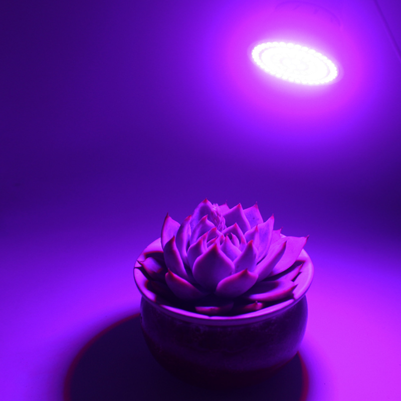 led grow light bulbs for indoor plants e grow led light