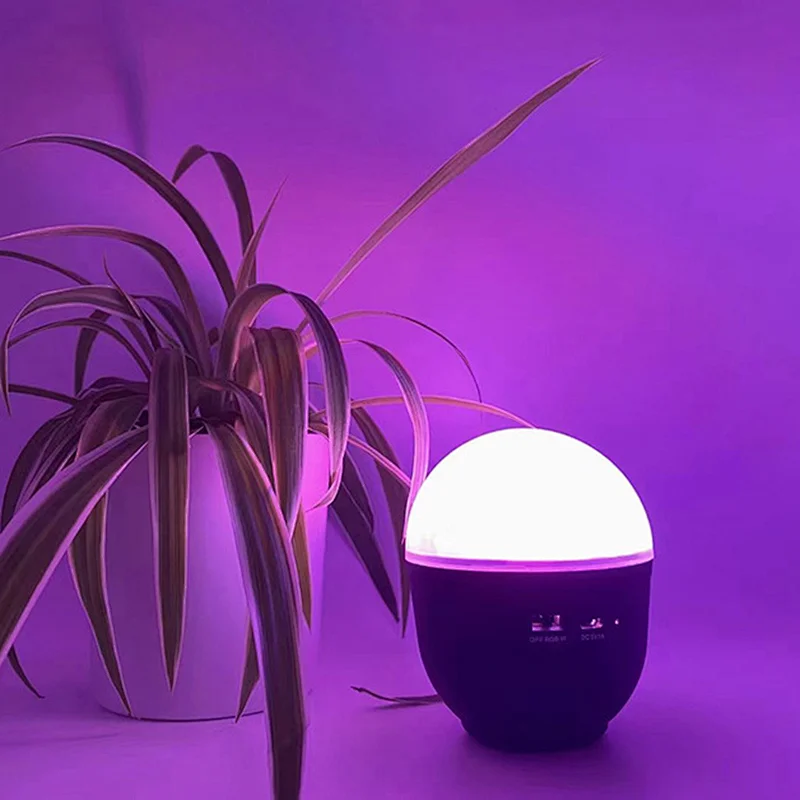 Beautiful tea cup night light