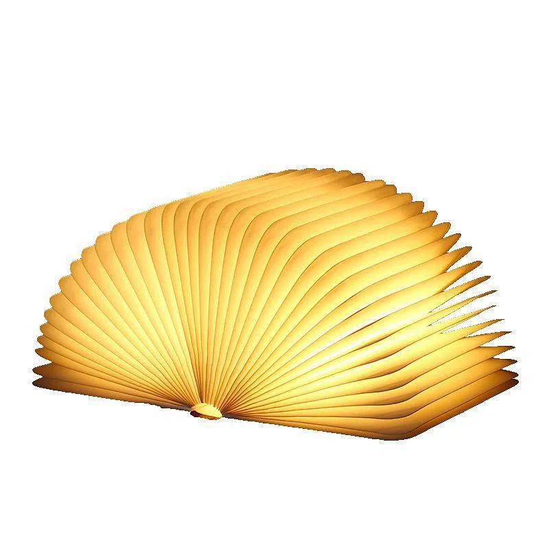 Book lamp