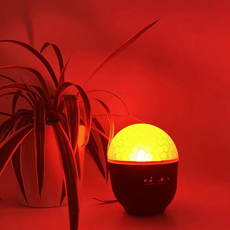 Beautiful tea cup night light