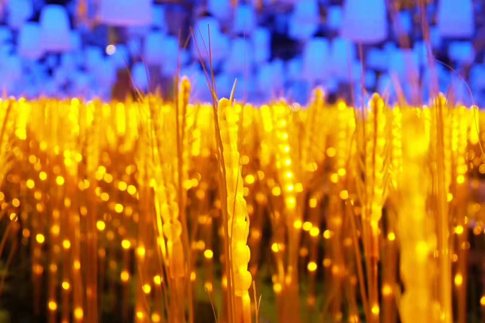 Rice planting wheat ear ground lamp
