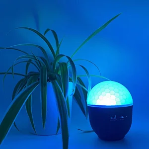 Beautiful tea cup night light