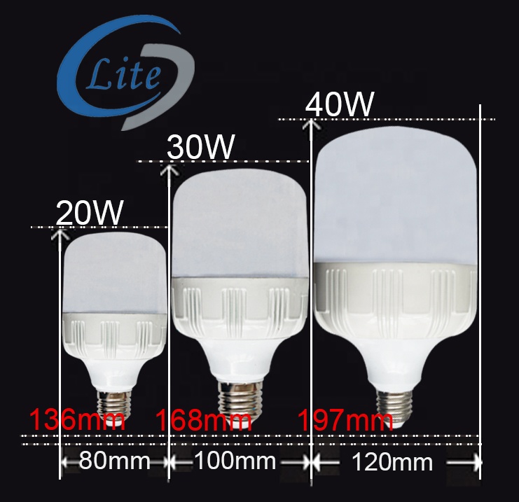T80 T100 15W 25W E27/B22 2000LM 3000LM 48V AC/DC T bulb