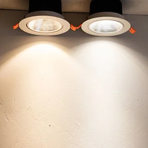 COB rotary downlight HCS series